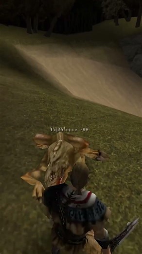 How to Fight and Kill Lizard #gothic1