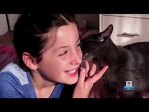 Hill's Prescription Diet TV commercial: "Science Did That!" (2024)