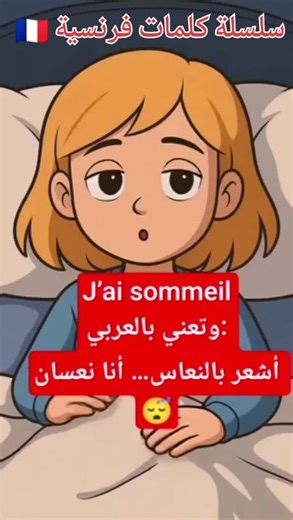 Learn French Language Basics in Paris