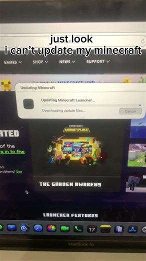 what a error#minecraft #games #edit