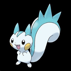 Where do you catch Pachirisu?