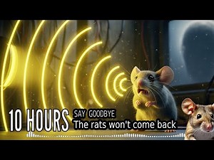 10 Hour Ultrasonic Anti Mouse Sound | Silent Repellent - the rats won't come back