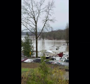 Snohomish River reaches record high level in NW Washington