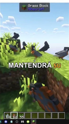 CÓMO ENCONTRAR el ROBIN en MINECRAFT FOWL PLAY