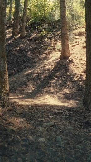 361K views · 15 reactions | Hike, chill, feel something in new styles made for getting lost somewhere.  | PacSun | Facebook