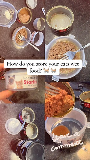 Effective Ways to Store Your Cat's Wet Food