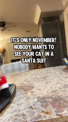 10K views · 11K reactions | Oh come on - it’s never too early for Santa Paws!  . . . #santapaws #santaclaus #funnycatvideos #cutecat #persiancat #santa #funnyvideos #catstagram #catsofinstagram #lolcats #petsofinstagram #meow #theholidaysarecoming | Walter Bishop the Cat | Facebook