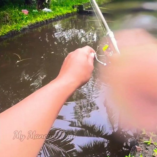 Micro Pen Rod Fishing Challenge