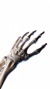 47K views · 500 reactions | Step into the detailed anatomy of the...