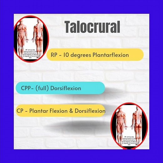 Talocrural's Capsular Pattern, Resting Position & Closed Packed Position|A Therapist Guide (full)