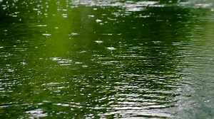 375 reactions · 35 shares | Follow conservation photographer and Nat Geo explorer Jenny Adler as she explores the growing need to conserve water. | National Geographic | Facebook