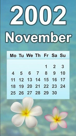 November 2002 Calendar