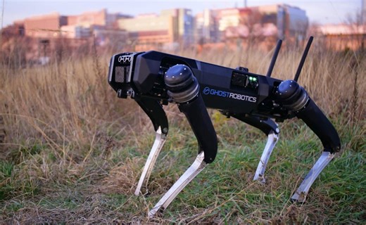 "Perros robot", los nuevos "agentes" migratorios de la frontera con México