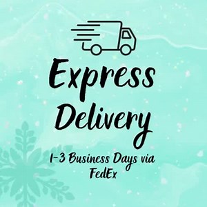 Express Shipping Upgrade: Fedex 1-3 Day Delivery - Etsy Canada