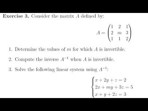 Ace Your Exam: Linear Systems with Parameters (Full Correction)| Systèmes linéaires avec paramètres