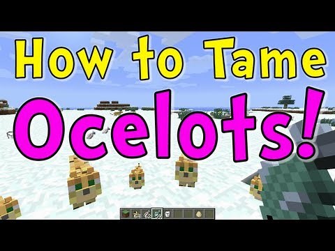 Minecraft Quick Tips - How to Tame Ocelots (Kitty Cats)