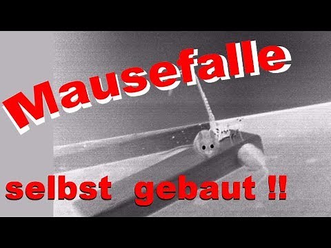 MAUSEFALLE - SELBST GEBAUT und ausprobiert
