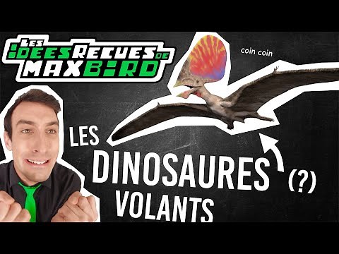 IDÉE REÇUE #49 : Les ptérosaures