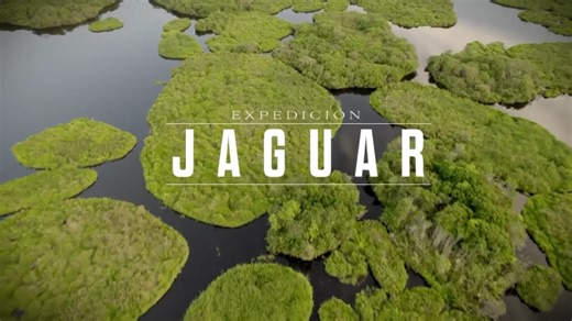 Jaguar Expedition | Manuela Gil de Tober