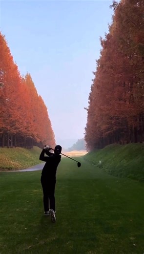 What a tee shot 👌🏼 #golf #golfswing | Alex Elliott Golf