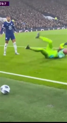 ⚡🐱 The Cat Stops Attack Again - Goal Ruined