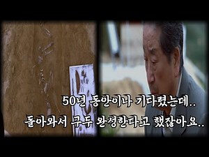 아직까지도 회자되는 부동의 전쟁 영화 1위 | 태극기 휘날리며