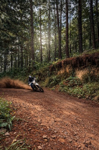 Frases Motivadoras para el Bienestar y la Motivación