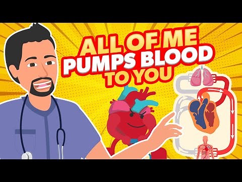 All of Me Song | Nurse Mike's Memory Music for Nursing Students