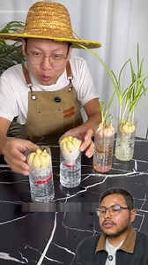 cómo cultivar ajo y cilantro fácil en macetas o botellas #reelsviralシ #reelsfypシ #fblifestyle | Proyectos Express