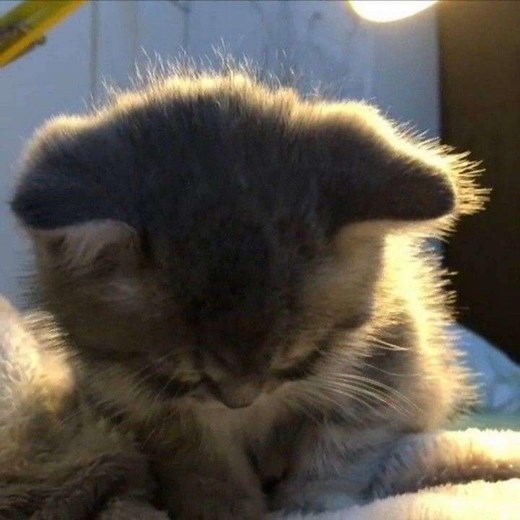 Idk - Gabe: Song Lyrics, Music Videos & Concerts