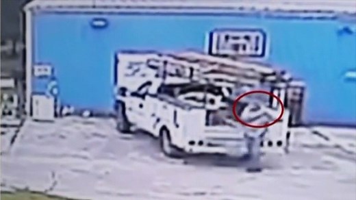 39K views · 248 reactions | SQUIRREL ATTACK  This critter left a...