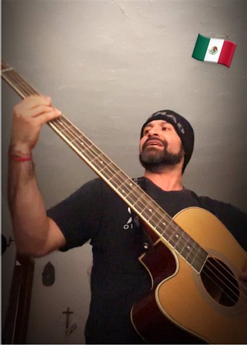 Like A Stone by Soundgarden! Acoustic Bass and Vocals!! Bridge and Ending!! #soundgarden #chriscornell #acoustic #vocals #Bass