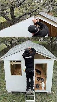 ✅ Building a Luxury Cat Mansion at Home 🐾 | Ultimate DIY Cat House Transformation