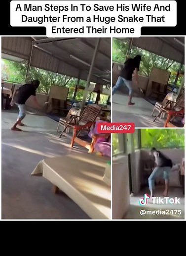 A Man Steps In To Save His Wife And Daughter From a Huge Snake That Entered Their Home#blog #blogger #fyp #fytiktok #tiktokviravideo