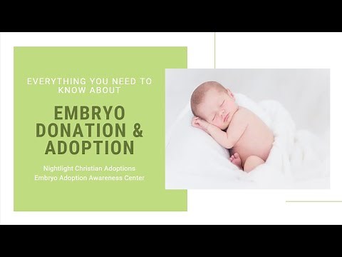 Everything You Need to Know about Embryo Donation & Adoption