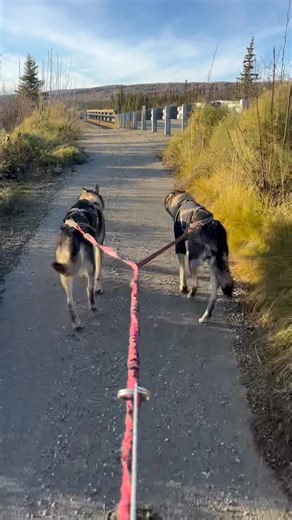 Morgan Elizabeth on Reels