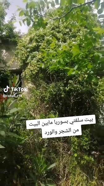 #سبحان_الله _#عهالمنظر😍♥ #اعادة_النشر🔃 #لايك_متابعه_حركة_الاكسبلور❤🦋explorer