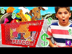 We Get Flappy Everything He Touches! Petco Shopping Haul Challenge at Pet Store by HobbyKidsTV