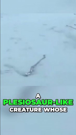 Champy: Unveiling Lake Champlain's Mysterious Sea Monster