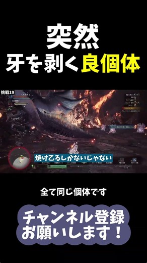 神個体と思わせてくる鬼アルバトリオン【モンハンアイスボーン/MHWI/実況】#shorts #モンハン #アルバトリオン