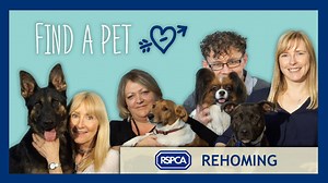 8.5K views · 512 reactions | Man's best friend has so much love to...