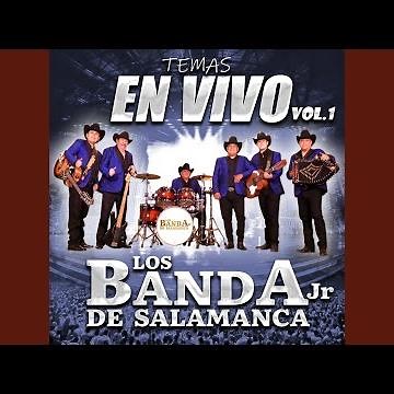DOS AMORES (En vivo)
