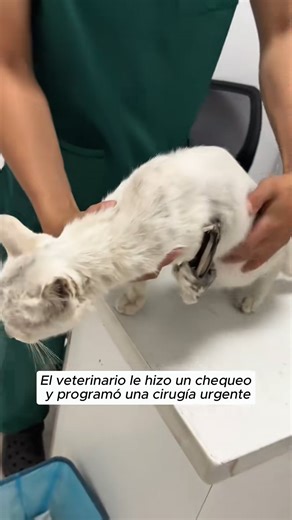 R2003002_I hope it grows up healthy and happy, surrounded by love#animals #Foryou #Friendship #Us_part2