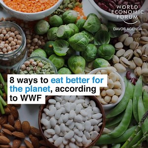 Here's how to eat better for the planet. Learn more here: https://bit.ly/3m2SjIp | World Economic Forum