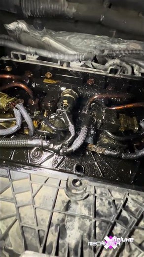 ¡INYECTOR DELPHI AGARRADO EN PEUGEOT! 💥 El marrón que nadie quiere…#Peugeot#InyectorDelphi#Mecánica