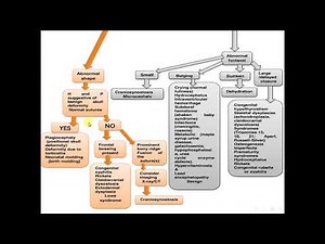 ABNORMAL HEAD SIZE, SHAPE, AND FONTANELS