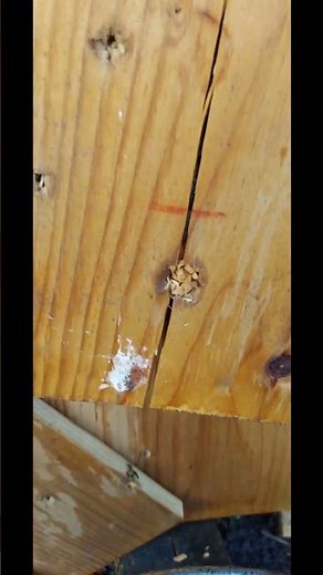 30-06 130gr. tipped tsx expansion test.#shorts #subscribe #bullet #3006