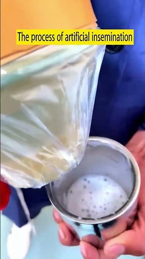 The process of artificial insemination in horses