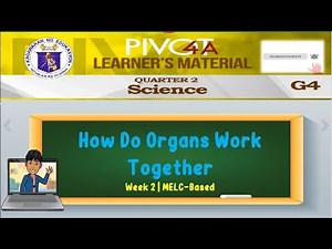SCIENCE 4 | HOW DO ORGANS WORK TOGETHER | WEEK 2 | MELC-BASED