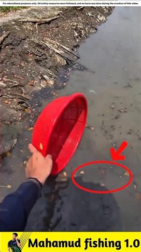 What fish did he catch with new market bait? 🐟#viralvideo #facts #fishinggear #fishinglife #fish